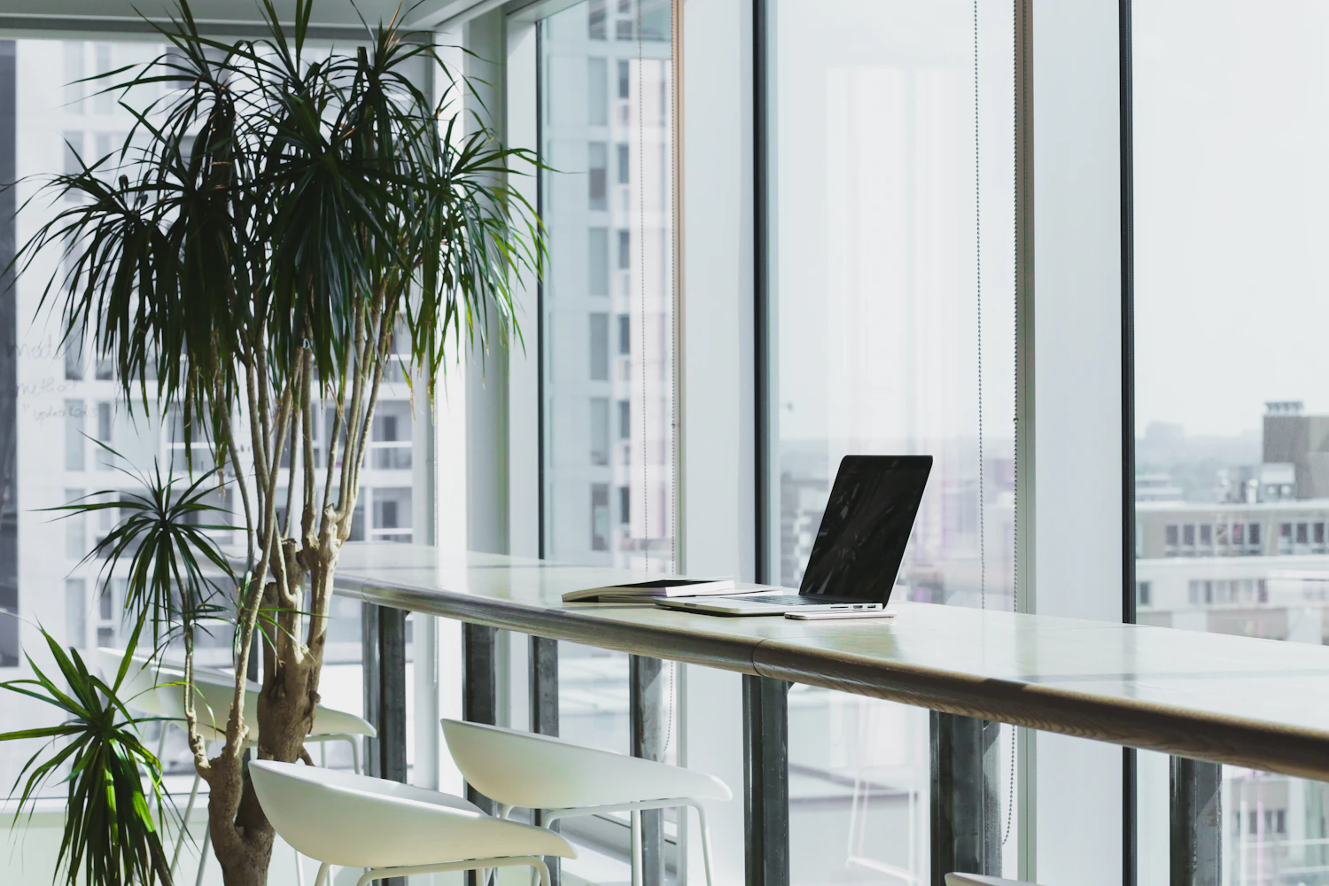 Bright workspace with a desk and plants