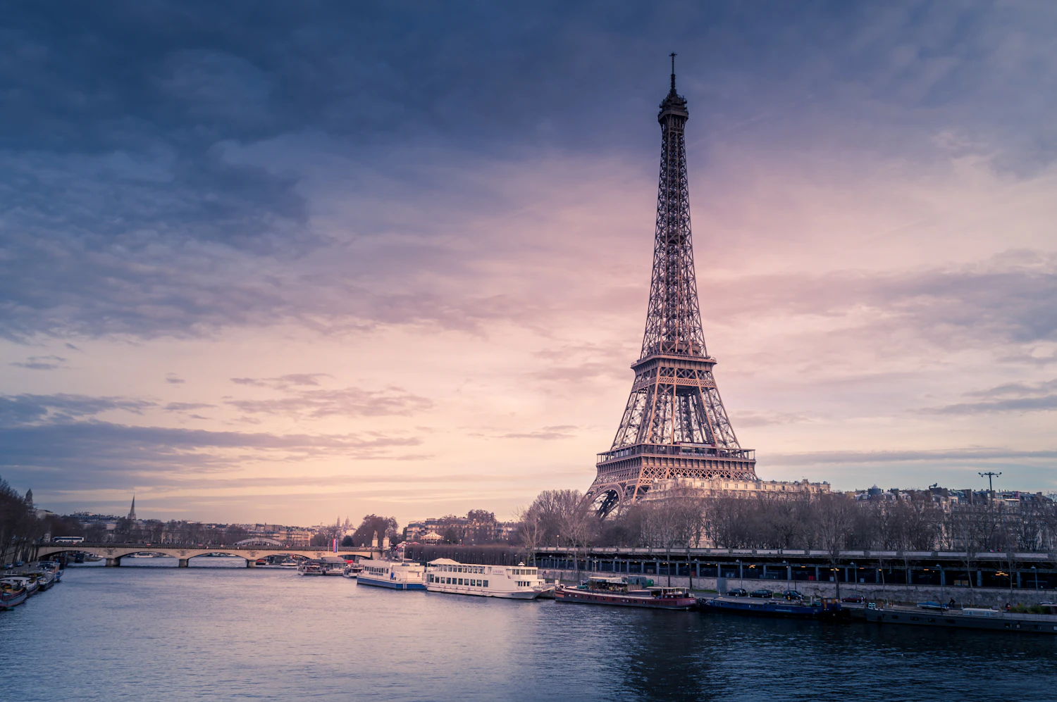 Eiffel Tower above the rooftops of Paris