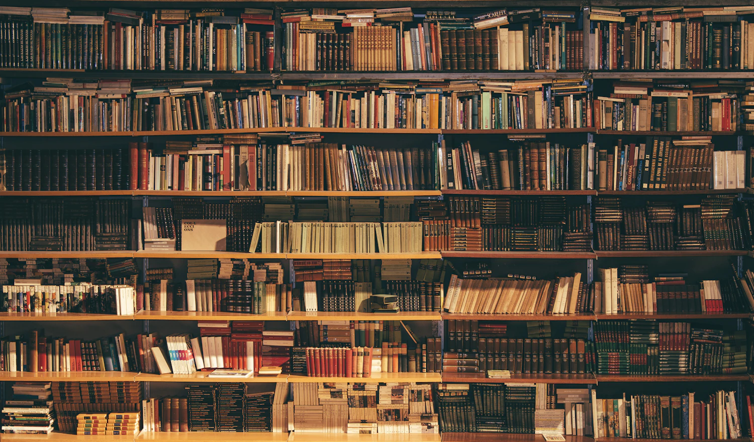 Books arranged on library shelves